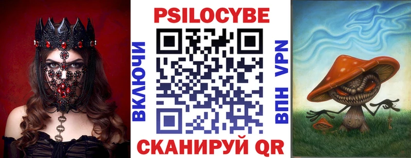 Купить где  Белая Калитва  Псилоцибиновые грибы Psilocybine cubensis 